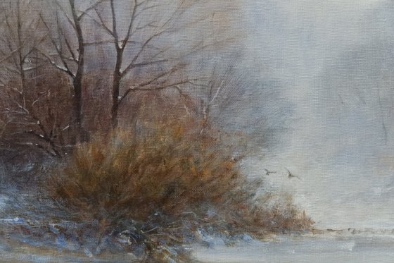 Winter landscape