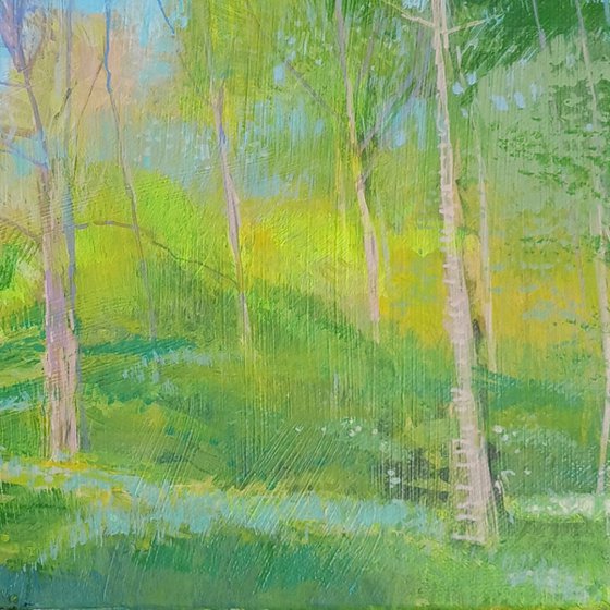 Woodland Walk