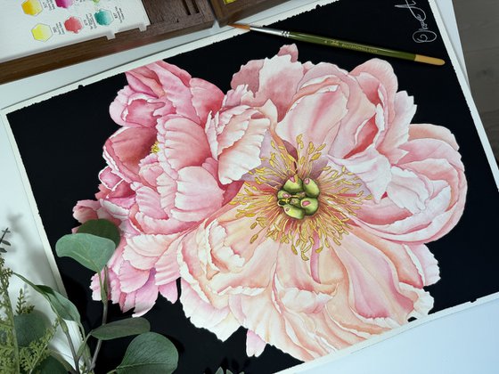 Whispering Peonies