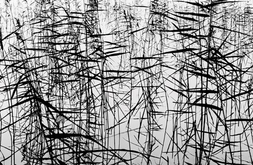Sumi Ashi by Nick Psomiadis