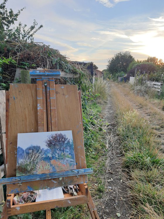 At the allotment, Hove. UK
