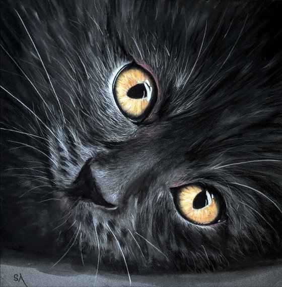 Cats Eyes III  (Original Painting)