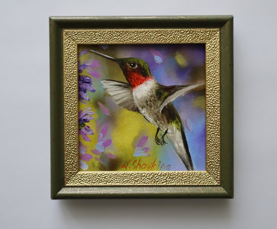 Vibrant Hummingbird Miniature