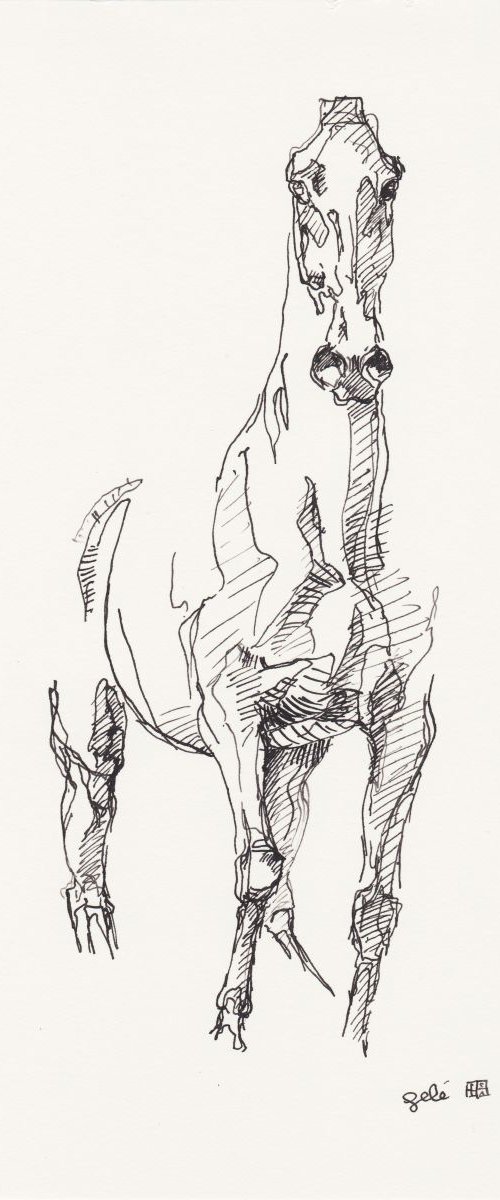 Equine Nude 145 by Benedicte Gele