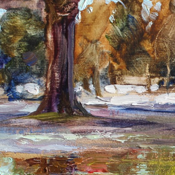 Thawed patch in the park