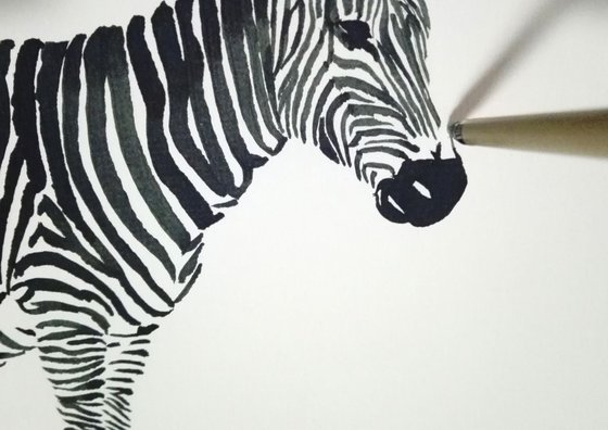 Zebra I Animal Drawing