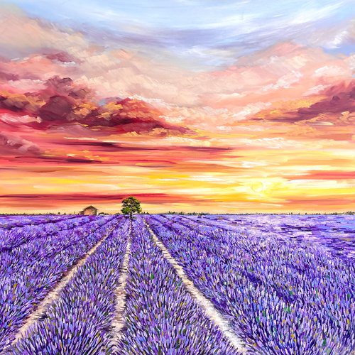 Lavender field by Tanya Stefanovich