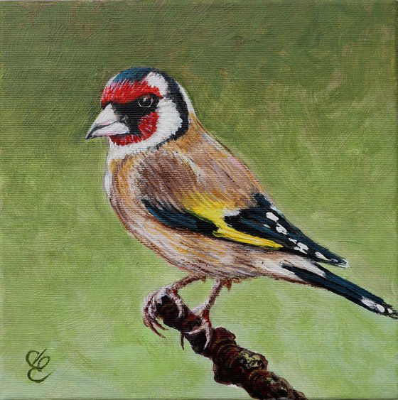 GOLDFINCH