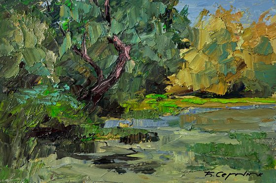 Trees above the River