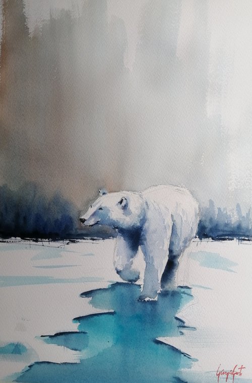 Polar bear by Giorgio Gosti