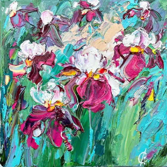 Whisper of irises