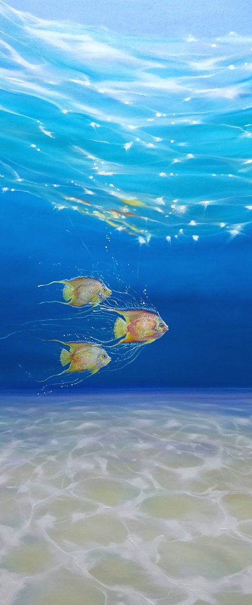 Under Sea Escape by Gill Bustamante