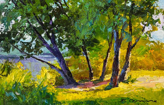 Summer Forest Glade