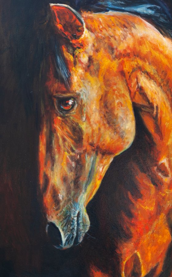 Fire Horse