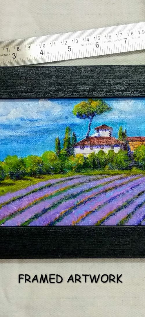 Miniature Lavender fields by Asha Shenoy