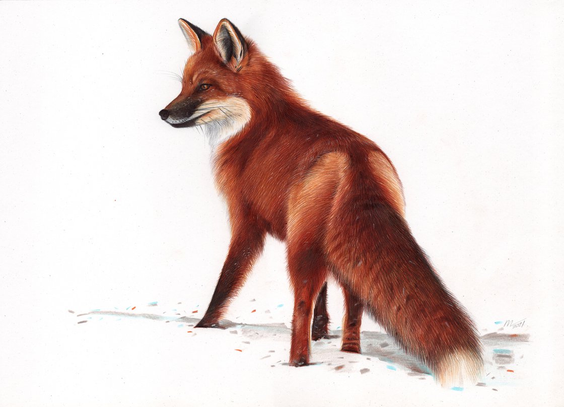 Fox, Red, Animal, Very Realistic Rubber Reproduction, Hand Painted