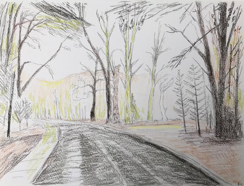 New Forest Road by Kitty  Cooper