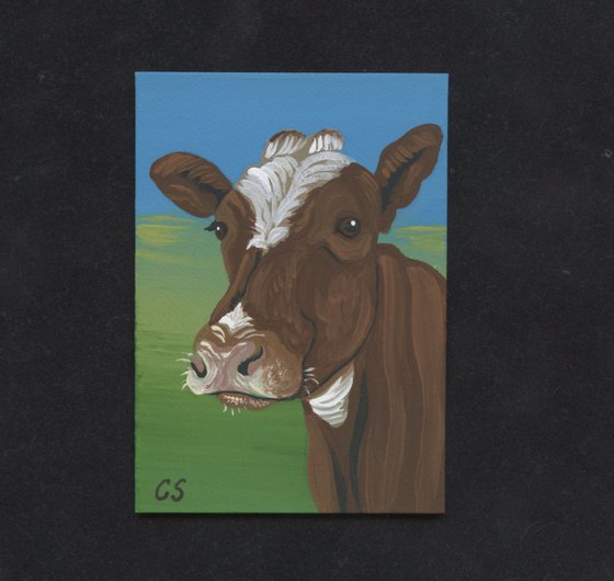 ACEO ATC Original Miniature Painting Brown White Cow Farmyard Art-Carla Smale