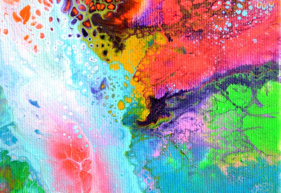 The Voice of a Dream 6