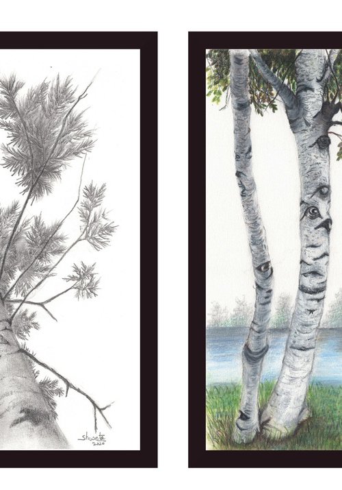 Collection of trees II by Shweta  Mahajan