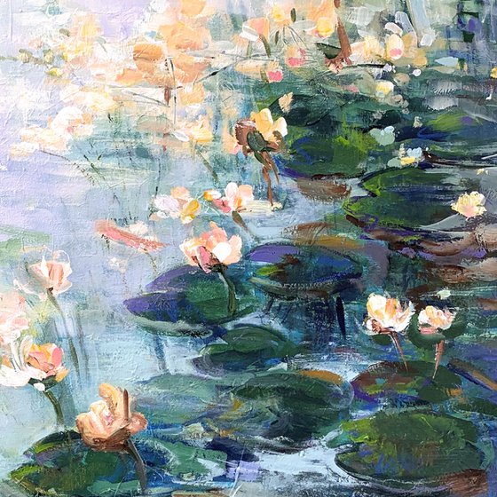 Lily pond