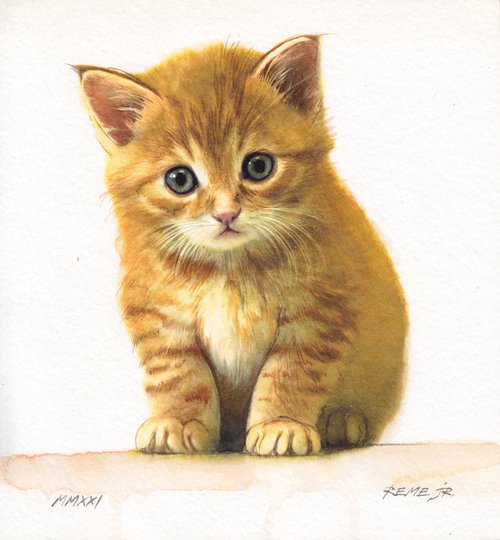 Kitten XIII by REME Jr.
