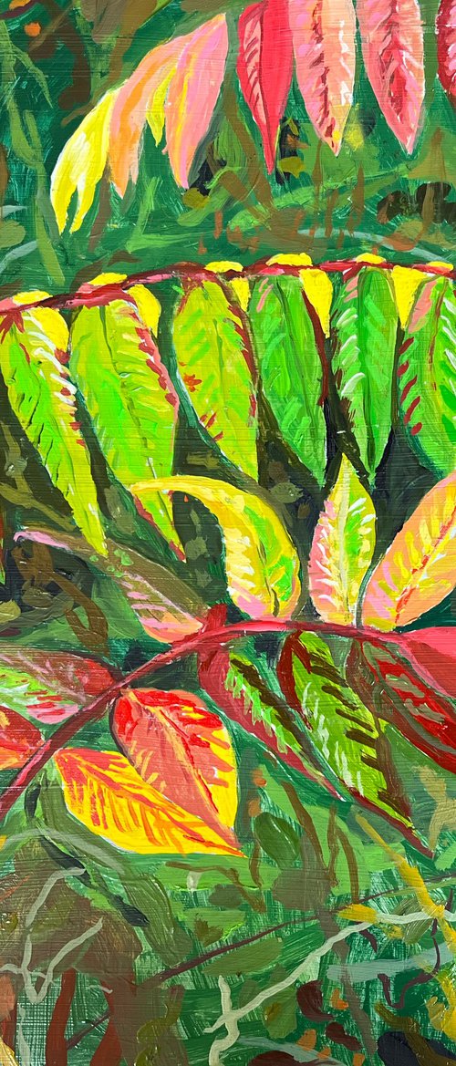 Fall Sumac by Gaal Shepherd