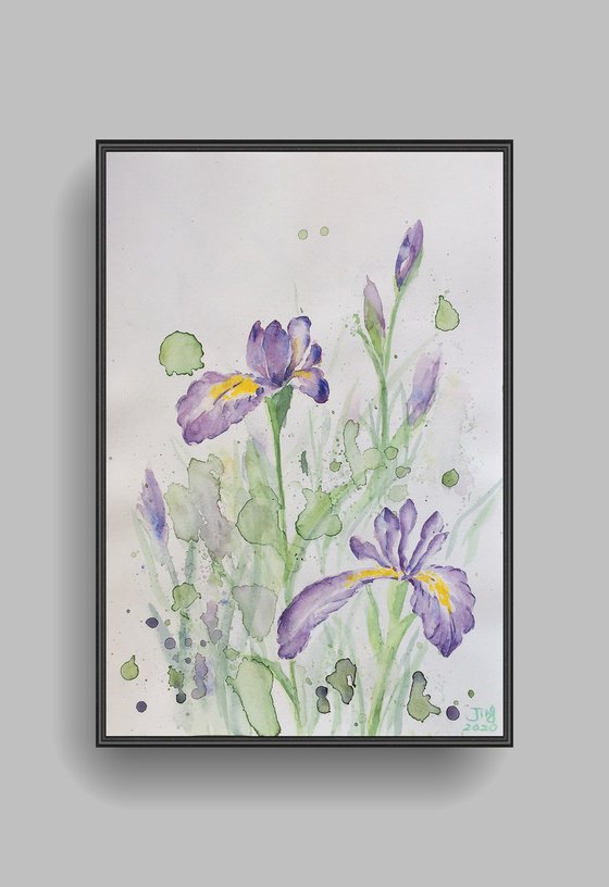 Purple Irises