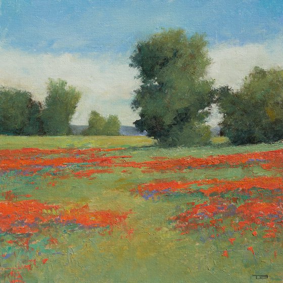Spring Poppies 220502, flower field impressionist landscape oil painting