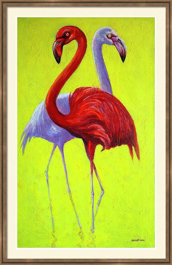 Flamingo 2