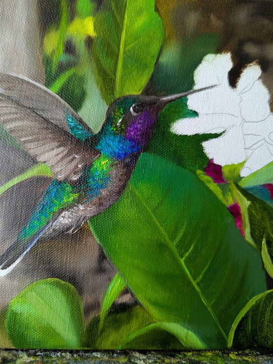 Tropical Hummingbird