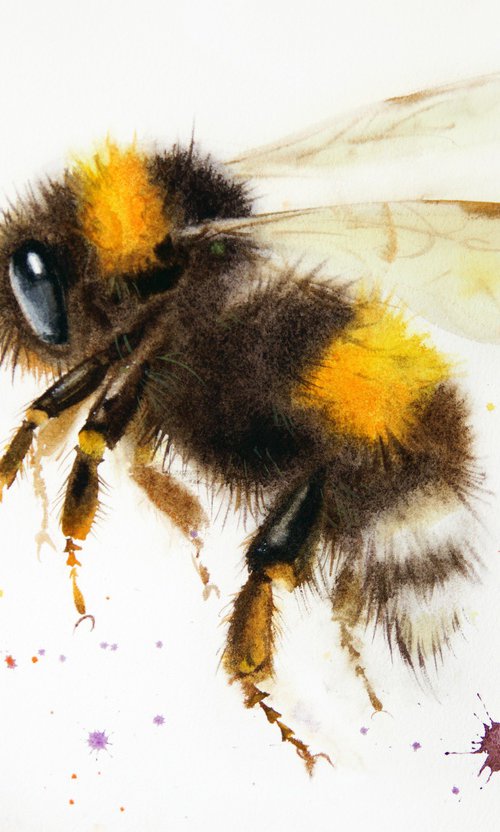 Flutterby Bumblebee by Olga Beliaeva Watercolour