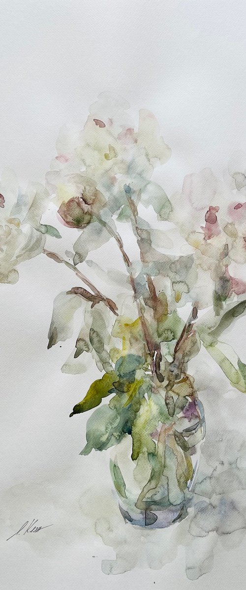 Peonies 50x65 cm 2025 by Elena Klyan