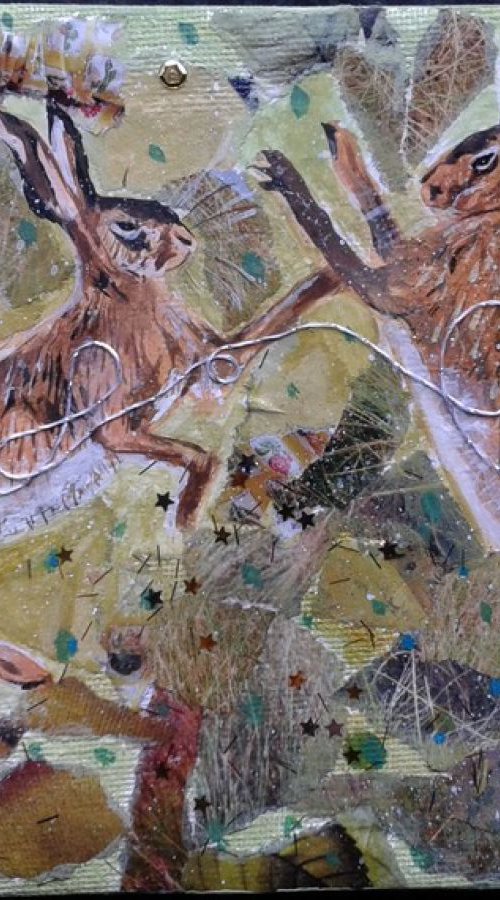 Hares in the meadow by Fiona Plaisted