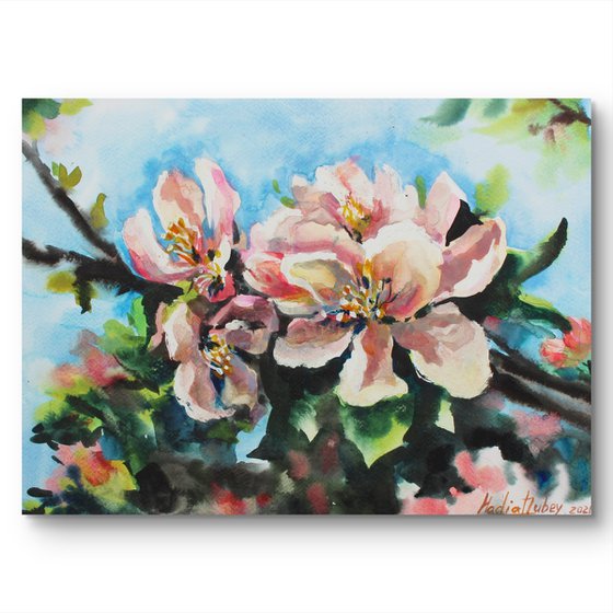 Apple blossom. Original