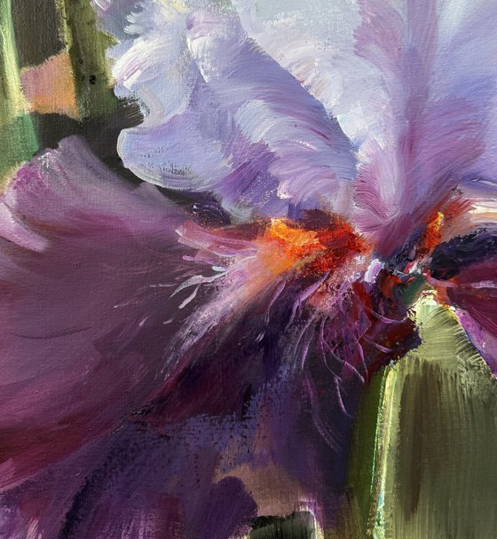 Luminous Irises