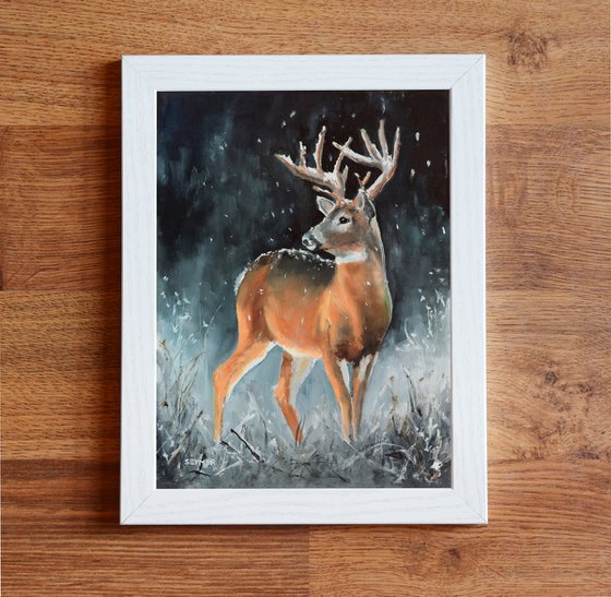 Male buck deer in snowy scene