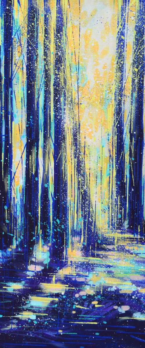 Moonlight through forest by Marc Todd