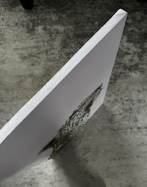 Focus – Original Leopard Painting