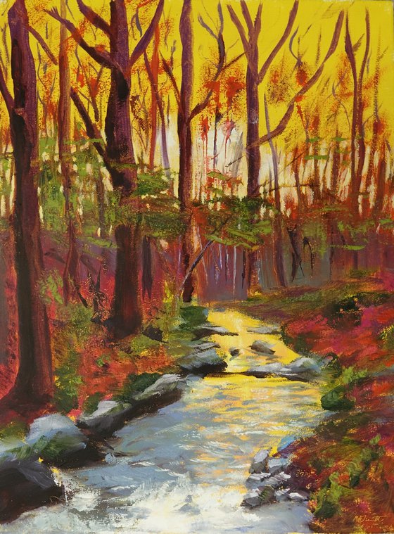 Sunset Stream