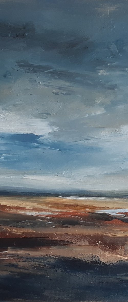 Fading light on Parkgate Marsh by Steve Keenan