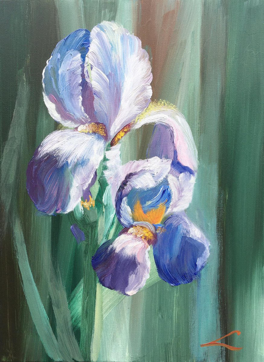 Impressionistic Botanical Oil Painting By Elena Sokolova, 11 X 15, Irises, Original Artwork