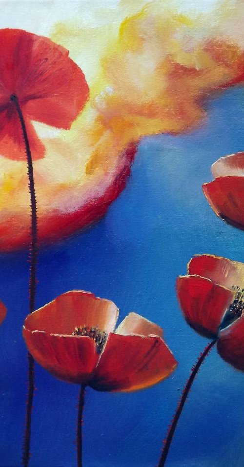 Poppies by Dalia Barke