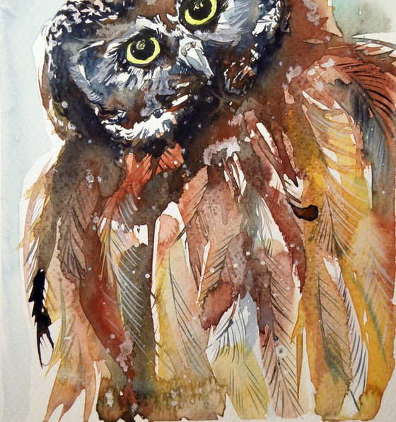 Owl