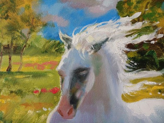 A White Horse Gallops