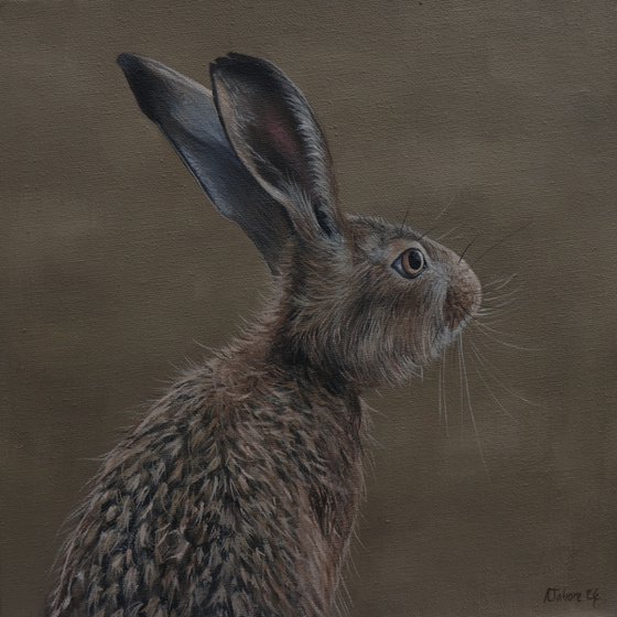 Portrait of a Hare II