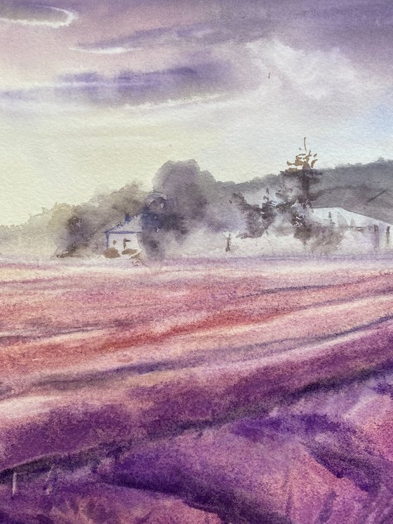 Morning in the Fields