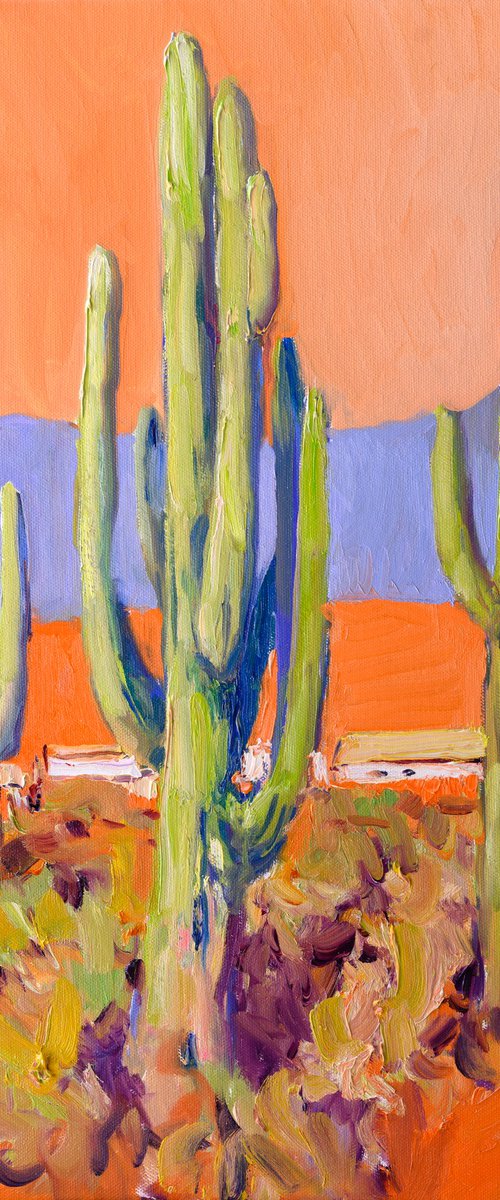 Cactuses in Desert by Suren Nersisyan