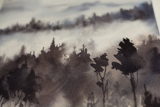 Mist in the mountains