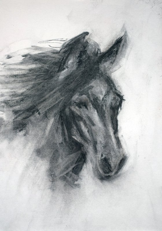 Horse (charcoal)